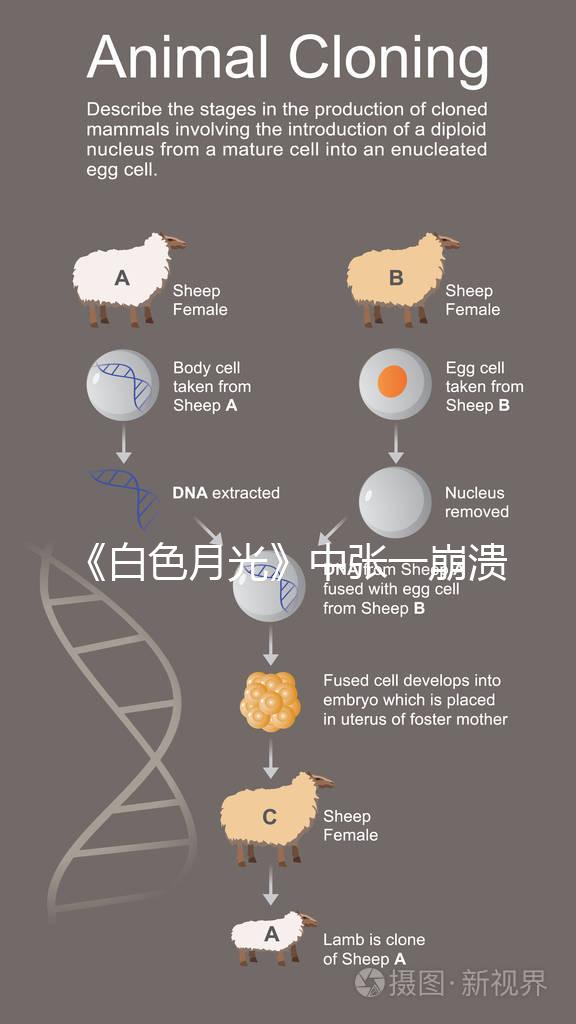 《白色月光》中張一崩潰在孩子面前哭,你認為該不該?
