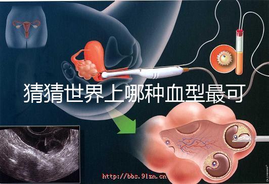 猜猜世界上哪種血型最可怕，史上超全排行榜為你揭曉答案