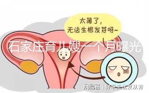 石家莊育兒嫂一個月曝光多少錢？馬寶:公司級別越高越貴