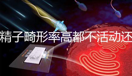 精子畸形率高都不活動還能做試管嬰兒嗎？