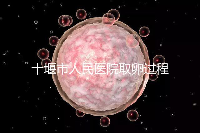 十堰市人民醫(yī)院取卵過(guò)程詳解，三種情況可全身麻醉