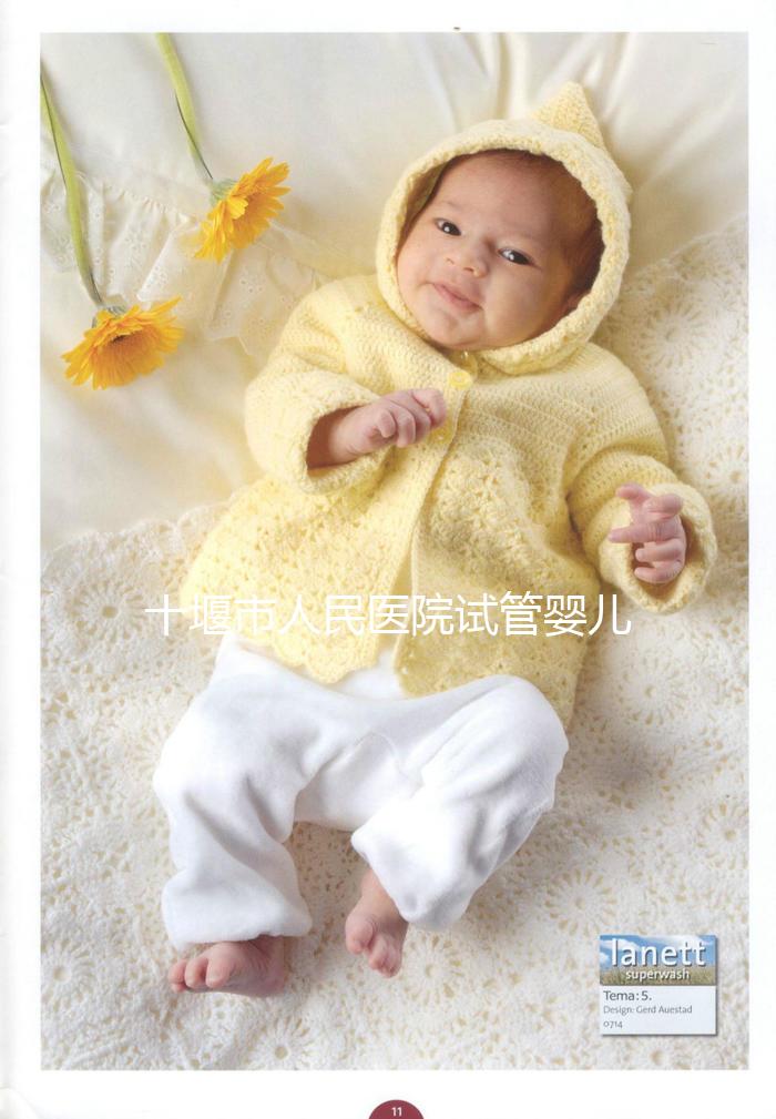 十堰市人民醫院試管嬰兒成功率真不低，專家講述養囊重要性