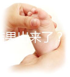 養(yǎng)囊結(jié)果出來了？3ab囊胚成功率、質(zhì)量好不好看這里