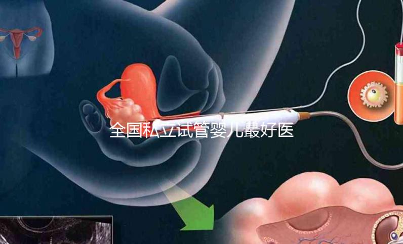 全國私立試管嬰兒最好醫院哪里最好,附醫院推薦