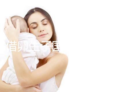 借卵生子國(guó)內(nèi)最新規(guī)定和措施匯總，關(guān)于撫養(yǎng)權(quán)統(tǒng)統(tǒng)告訴你