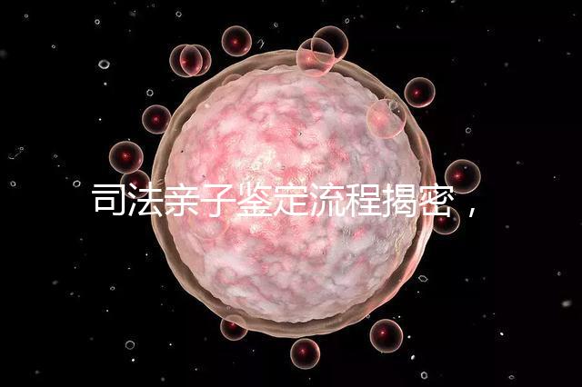 司法親子鑒定流程揭密,附準(zhǔn)備材料請(qǐng)一并參考