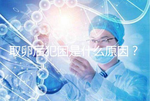 取卵后犯困是什么原因?生殖科醫生透露出其中緣由