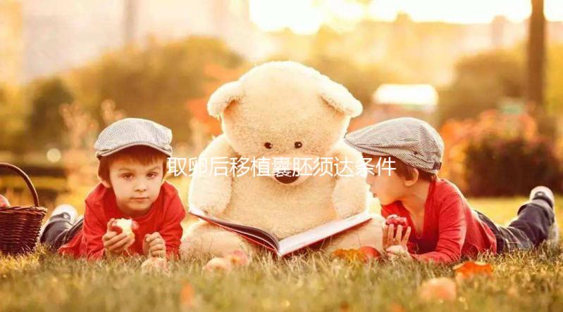 取卵后移植囊胚須達條件！至少要達到這3個標準