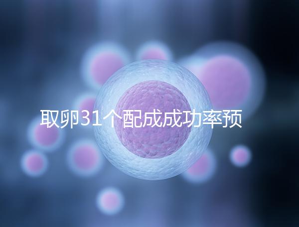 取卵31個配成成功率預測，鮮胚個數在這個范圍都有希望