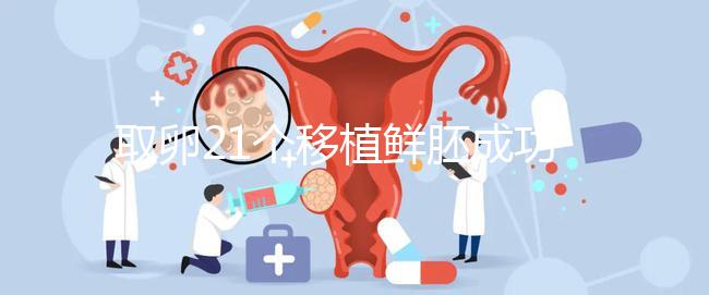 取卵21個移植鮮胚成功率真不低，前提：等卵巢恢復(fù)后再手術(shù)