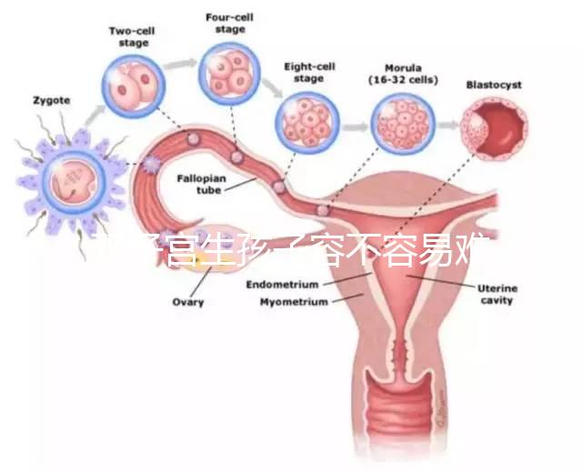 雙子宮生孩子容不容易難產(chǎn)看情況，注意這幾點(diǎn)也能順利抱娃