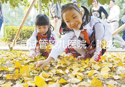 北京試管嬰兒醫院，附成功率、費用