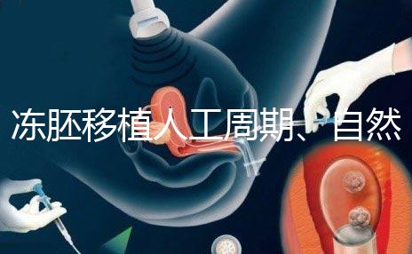 凍胚移植人工周期、自然周期怎么選?哪個成功率高?