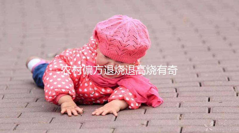 農村偏方退燒退高燒有奇效，路邊常見退燒草別還不認識