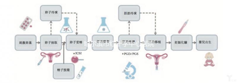 哈爾濱市紅十字中心醫(yī)院試管怎么樣？2024年助孕成功率數(shù)據(jù)共享