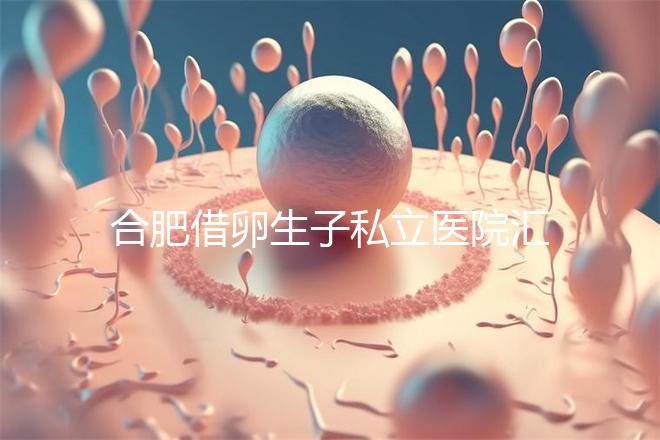 合肥借卵生子私立醫院匯總，2024哪家排名好一覽了然