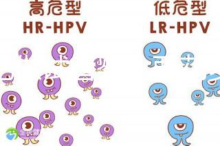 合肥做試管嬰兒要花多少錢？進周期前這些注意事項都來看看