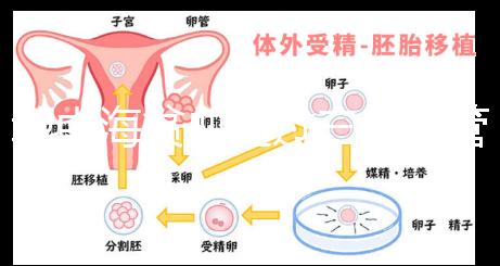 地中海貧血通過三代試管嬰兒真的可以生出健康的孩子嗎？