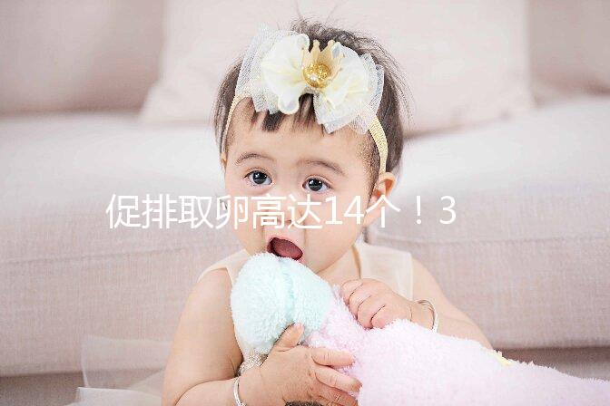 促排取卵高達14個!35歲做試管嬰兒取卵多個正常?