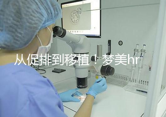 從促排到移植！夢美hrc試管嬰兒流程共7步