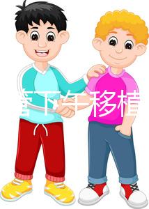 不懂試管下午移植上午要不要請(qǐng)假速覽，何時(shí)開始一看便知