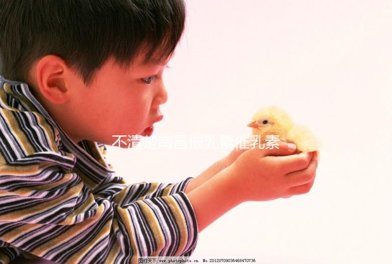 不清楚南昌催乳素催乳素催收如何收費(fèi)快速閱讀,專業(yè)問(wèn)題讓你花更少的錢