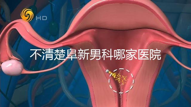 不清楚阜新男科哪家醫(yī)院最好看附前三機構收費標準