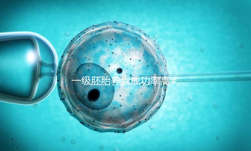 一級(jí)胚胎養(yǎng)囊成功率高≠零失敗，染色體異常是主要原因