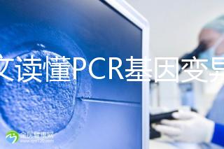 一文讀懂PCR基因變異報告，解讀高通量測序染色體檢查