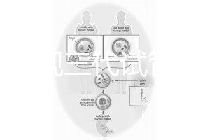 中國正規三代試管嬰兒機構名單，2025生殖機構排名參考