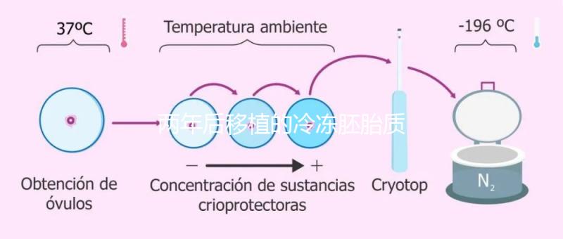 兩年后移植的冷凍胚胎質(zhì)量差會怎么樣?有效的解決方案