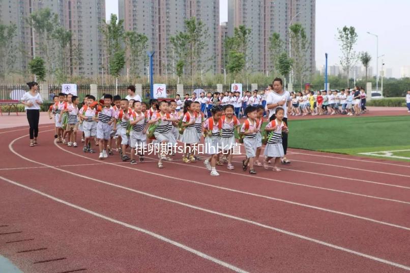 排卵期fsh和lh比值對照參考表速覽，大于2小于3真不正常