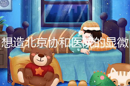 想造北京協(xié)和醫(yī)院的顯微鏡取精多少錢?2萬不看情況