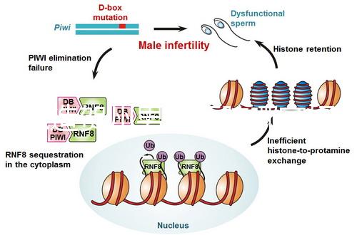 想造賀州男科醫院哪家好瞧,賀州市人民醫院登前3了解下