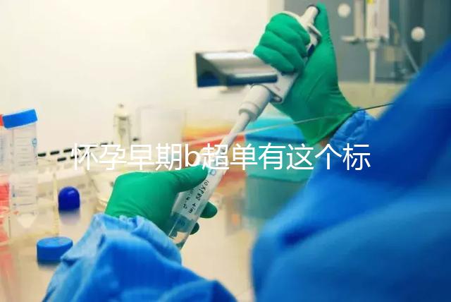 懷孕早期b超單有這個(gè)標(biāo)志一般是女孩，孕囊數(shù)據(jù)暗藏玄機(jī)