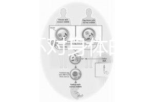 揭秘上環對身體的5大壞處，女人別再無知了
