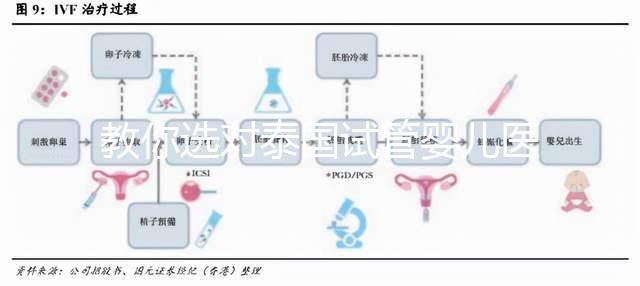 教你選對泰國試管嬰兒醫院，ALL IVF、杰特寧原來是這么回事