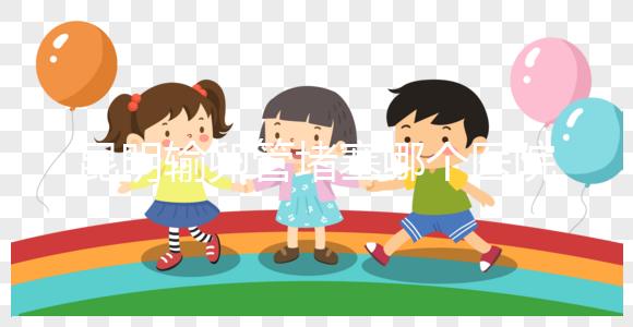 昆明輸卵管堵塞哪個醫(yī)院做的好些