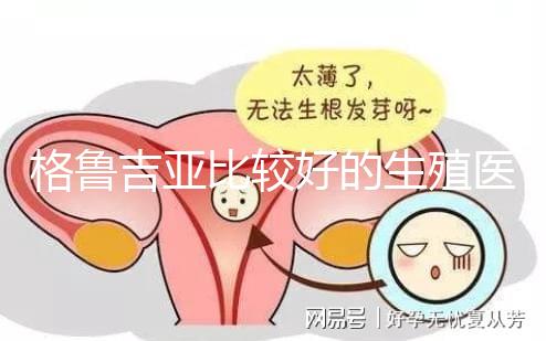 格魯吉亞比較好的生殖醫(yī)院是哪家，助孕成功率高還看這4家
