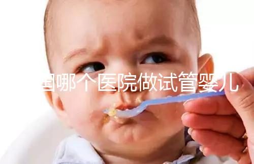 泰國哪個(gè)醫(yī)院做試管嬰兒比較厲害？全面解析與推薦