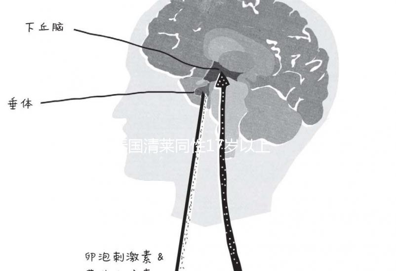 泰國清萊同性17歲以上便能結婚，在國內承不承認進來看