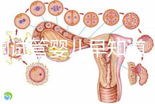 泰國試管嬰兒早知道，威它尼醫(yī)院Vejthani圖文攻略