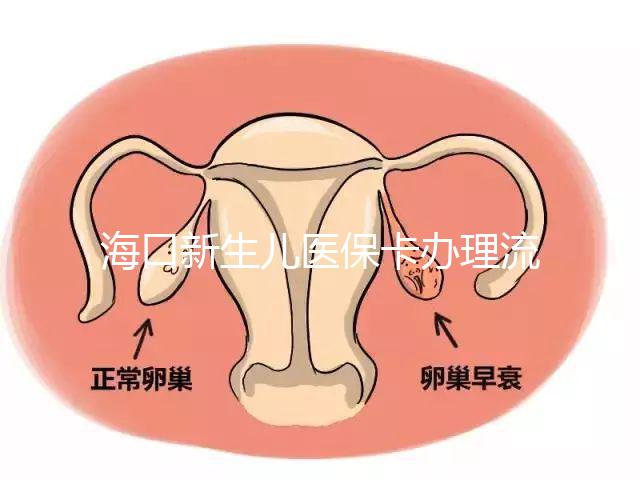海口新生兒醫保卡辦理流程更新，附2024秀英、龍華區手續