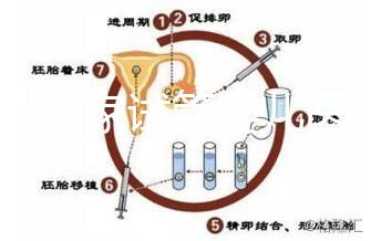 浙江27家試管嬰兒醫院成功率排名公開，邵逸夫醫院位居前十
