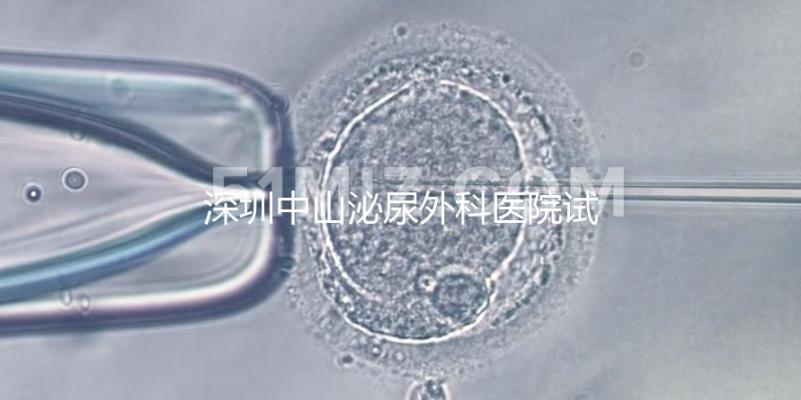 深圳中山泌尿外科醫(yī)院試管成功率參考，一次就中并非神話
