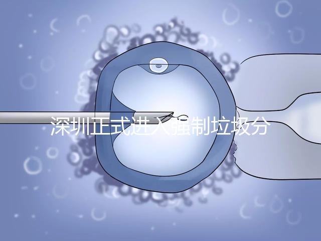 深圳正式進入強制垃圾分類時代，不分類最高被罰50萬!