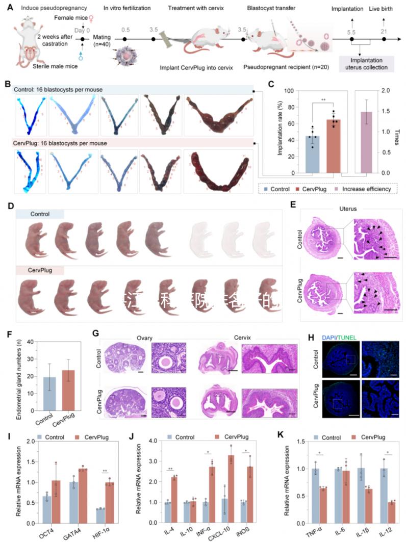湛江男科醫院排名好的醫院分享，2024廣醫大附院上榜