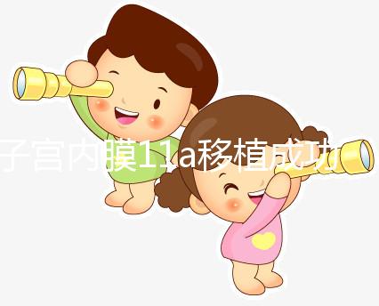 子宮內膜11a移植成功率解析，好不好、適不適合著床看這