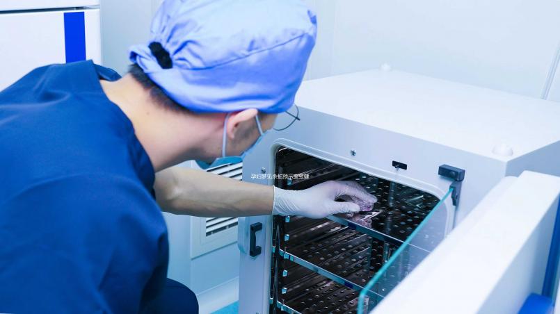 孕婦夢見殺蛇預示寶寶健康？相關胎夢解讀