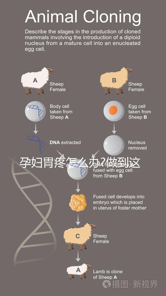 孕婦胃疼怎么辦?做到這5點(diǎn)可以減輕危害